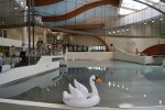 Jeden z basenów Parku Wodnego Tychy posiada ruchome dno (fot. SilesiaDzieci.pl)