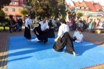 Pokaz aikido w wykonaniu grupy z Centrum Vita-Sport wzbudził wielkie emocje (fot. mat. SilesiaDzieci.pl) 