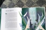 Książka zaprowadzą nas do tropikalnego lasu, pozwala polatać na chmurce czy wyruszyć w kosmos (fot. Ewelina Zielińska/SilesiaDzieci.pl) 