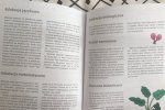 Wszystkie opisane zabawy i ćwiczenia zostały oparte o zasady pedagogiki Marii Montessori (fot. Ewelina Zielińska/SilesiaDzieci.pl)