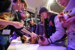 Wystawa i konkurs świnek morskich to wielkie wydarzenie dla fanów tych zwierzątek (fot. mat. organizatora)