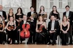 Część grupy  Wiener Solisten Orchester (fot. mat. organizatora)