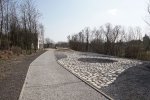 Żelazny Szlak Rowerowy to pętla poprowadzona na pograniczu polsko-czeskim (fot. UM Jastrzębie Zdrój)