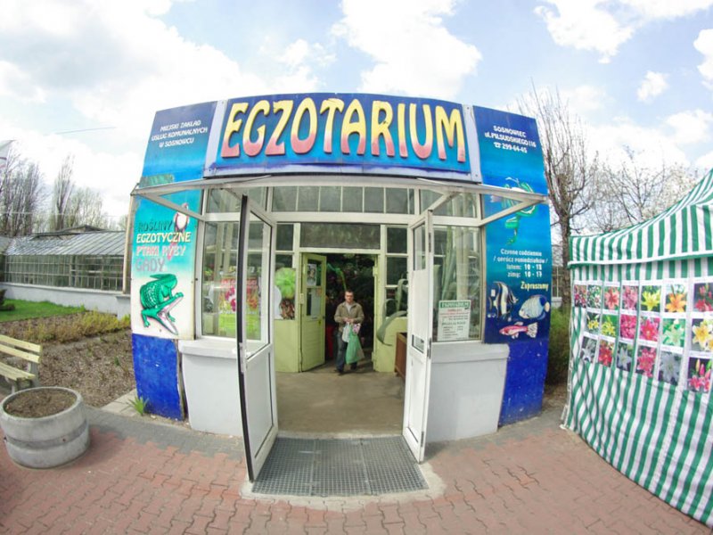 Egzotarium w Sosnowcu (fot. www.twojezaglebie.pl)