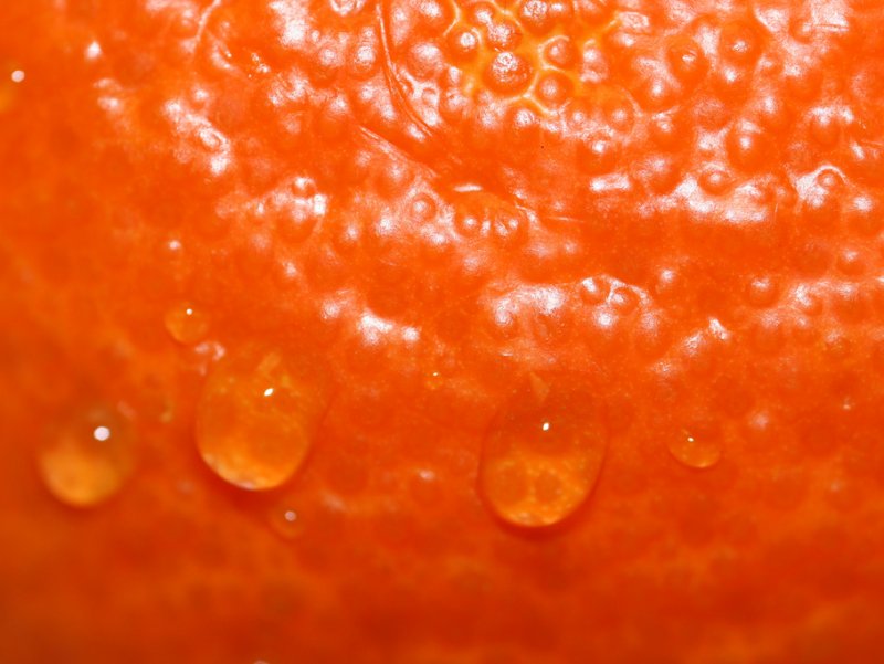 Cellulit nazywany jest potocznie skórką pomarańczową (fot. foter.com)