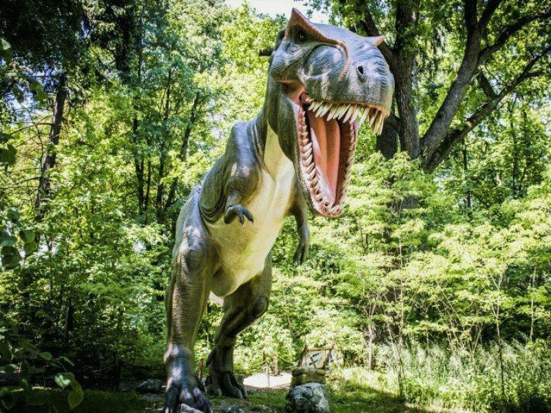 Zatorland to nie tylko Park Dinozaurów, ale też m.in. Park Mitologii, Owadów i lunapark (fot. mat. Zatorland)
