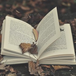 Warto przywitać jesień z nowymi książkami, które możecie zdobyć na II Gliwickiej Wymianie Książkowej (fot. foter.com)