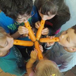 Na najbliższych zajęciach dzieci stworzą instrumenty z warzyw np. flety z marchewek (fot. FB Katowice Miasto Ogrodów)