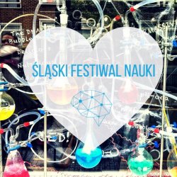 Śląski Festiwal Nauki to uczta dla pasjonatów nauki w każdym wieku (fot. FB Śląski Festiwal Nauki)