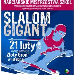 21 lutego uczniowie z Jaworzna zmierzą się w slalomie gigancie (fot. mat. organizatora)