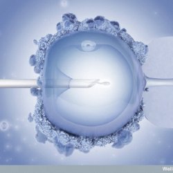 Rekrutacja do sosnowieckiego programu dofinansowań in vitro ruszy jeszcze w marcu (fot. foter.com)