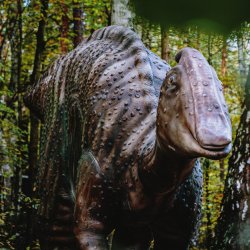 W Dino Parku pojawiły się pierwsze makiety dinozaurów (fot. archiwum zdjęć FB Arkadiusz Chęciński)