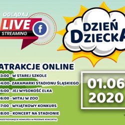 Park Śląski, zoo, Stadion Śląski i Skansen zapraszają na wyjątkowy Dzień Dziecka online (fot. mat. organizatora)