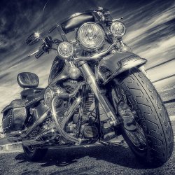Harley Davidson - legenda motoryzacji (fot. foter.com)