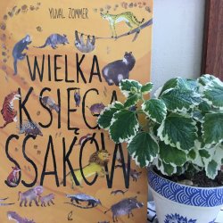 „Wielka Księga Ssaków” to kolejna pozycja autorstwa Yuvala Zommera (fot. Ewelina Zielińska/SilesiaDzieci.pl)