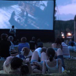 Letnie Kino Antyradia w Parku Śląskim rusza 2 lipca (fot. mat. organizatora)
