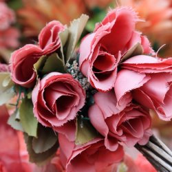 "Nie wszystkie kwiaty są sztuczne" to cykl warsztatów w CSW Kronika (fot. pixabay)