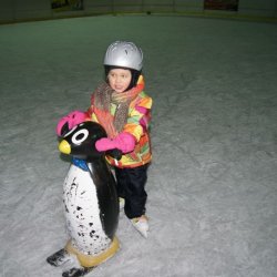 W Będzinie nowicjuszom w jeździe na lodzie pomogą pingwinki (fot. mat. prasowe)
