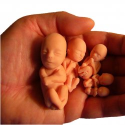 Poczęciny miałyby uzmysłowić ludziom, że życie nie zaczyna się w momencie narodzin, lecz już w chwili zapłodnienia (fot. sxc.hu)