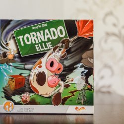 Mamy dla Was dwa egzemplarze porywającej gry "Tornado Ellie" (fot. Ewelina Zielińska)