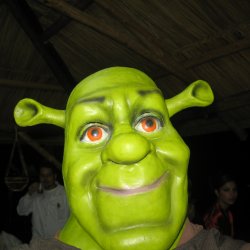 Shrek jest uwielbianą przez dzieci postacią z bajki. Dlatego może przekonać do zjedzenia zielonej zupy (fot. sxc.hu)