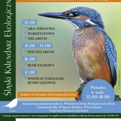 W Śląskim Ogrodzie Botanicznym, podobnie jak w latach ubiegłych, będzie obchodzony Międzynarodowy Dzień Ptaków (fot. mat. ŚOB)