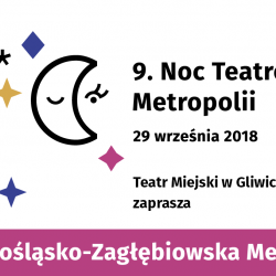 Podczas tegorocznej Nocy Teatrów Metropolii w Teatrze Miejskim w Gliwicach czeka wiele atrakcji (fot. mat. organizatora)