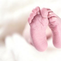 Pięcioraczki przyszły na świat na przełomie 24. i 25. tygodnia ciąży (fot. pixabay)