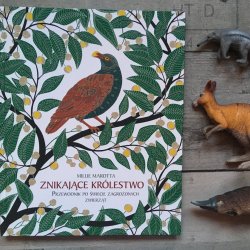 To książka idealna dla małych miłośników zwierząt (fot. Ewelina Zielińska/SilesiaDzieci.pl)