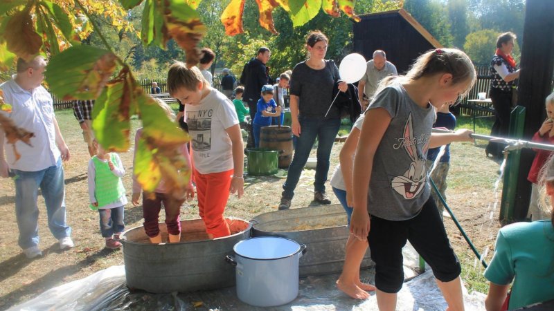 "Dzień kartofla" to impreza plenerowa, która odbędzie się w Górnośląskim Parku Etnograficznym (fot. FB Muzeum "Górnośląski Park Etnograficzny")