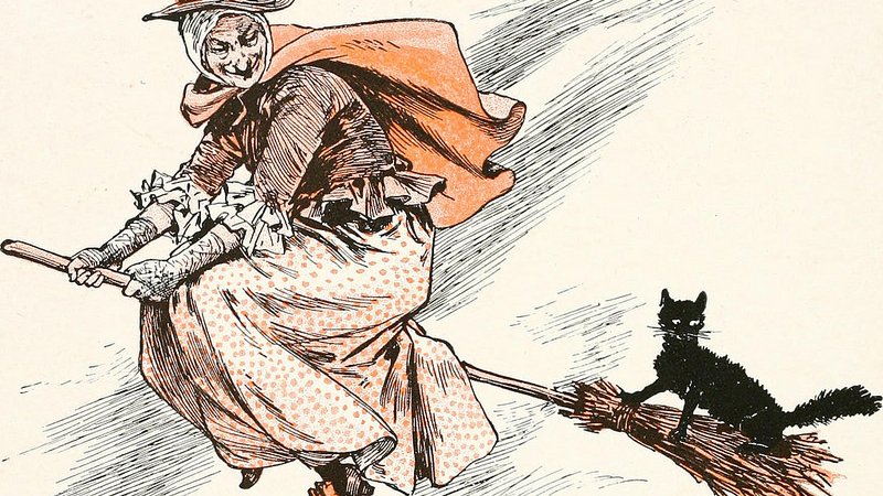 W Warowni Pszczyńskich Rycerzy dowiecie się jak żyły średniowieczne koty (fot. foter.com)