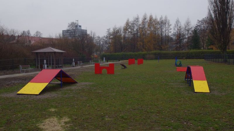 Czworonogi i ich właściwiele mają w Tychach przygotowany specjalnie dla nich park (fot. mat. prasowe)