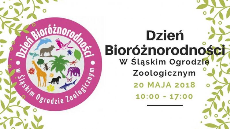 Śląskie ZOO zaprasza na wyjątkowe warsztaty (fot. mat. organizatora)