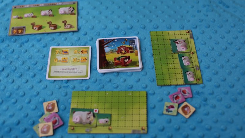 "Wesołe krówki" to świetna gra ekonomiczna dla graczy od lat 10 wydana przez 2 Pionki (fot. Ewelina Zielińska)