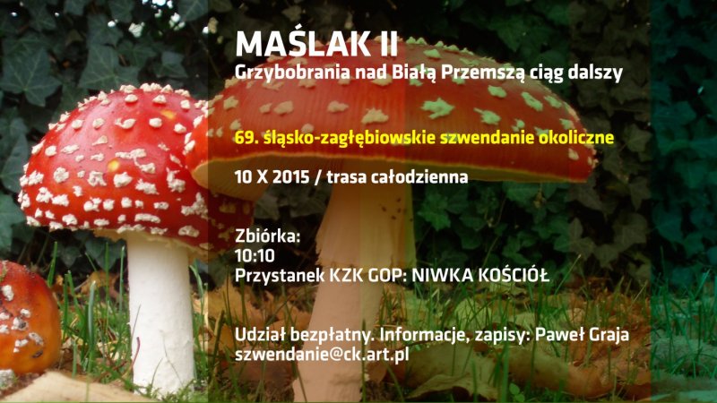 "Grzybobranie nad Białą Przemszą" to całodzienny spacer po lesie (fot. mat. organizatora)