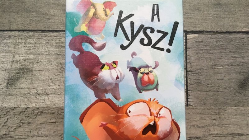 Gra karciana „A kysz!” to idealna zabawa dla maluchów (fot. Ewelina Zielińska/SilesiaDzieci.pl)