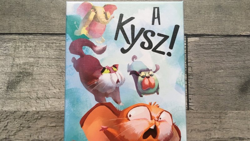 Gra karciana „A kysz!” to idealna zabawa dla młodszych dzieci (fot. Ewelina Zielińska/SilesiaDzieci.pl)