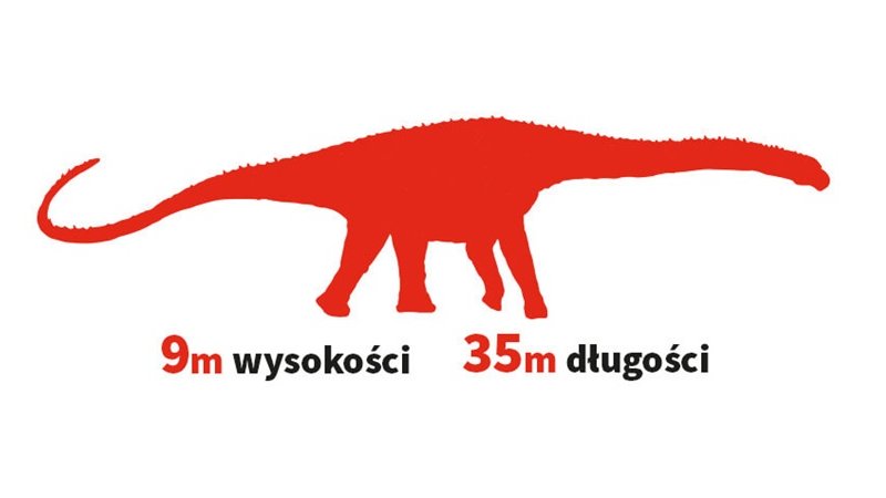 Argentynozaur cechował się długą szyją, którą potrafił sięgać na wysokość 5. piętra (fot. mat. Parku Zatorland)