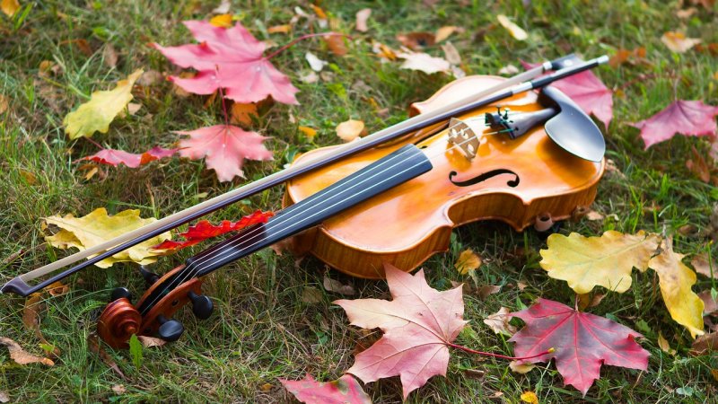 Muzyka ma wyjątkowy wpływ na rozwój maluchów - wiedzą to prowadzący spotkania "Maluch i muzyka" (fot. pixabay)