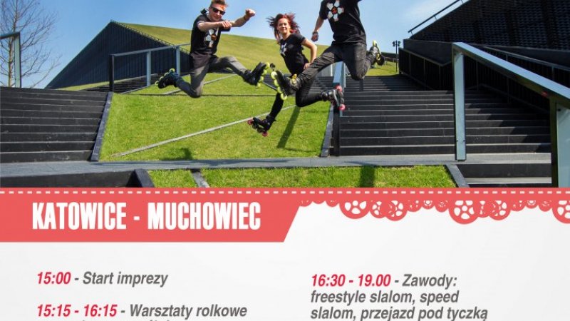 Na Muchowcu odbędą się Warsztaty z podstaw jazdy, podstaw slalomu, zaawansowanego slalomu, freeride oraz slide (fot. foter.com)