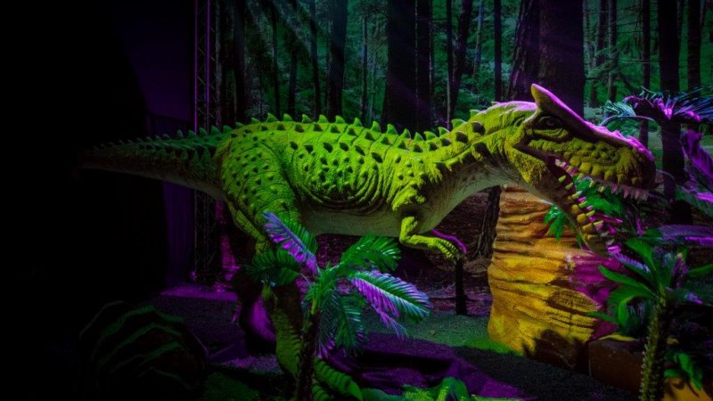Wystawę pt. „Dinozaury na żywo” będzie można zwiedzać do 12 czerwca (fot. mat. organizatora)