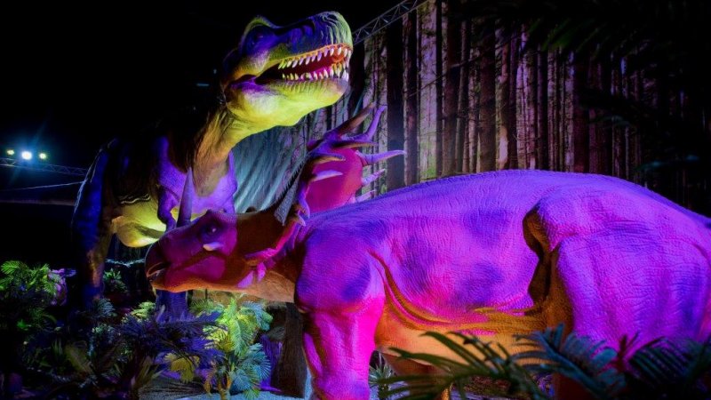 "Dinozaury na żywo" można oglądać w Śląskim Centrum Targowym do 12 czerwca (fot. mat. organizatora)