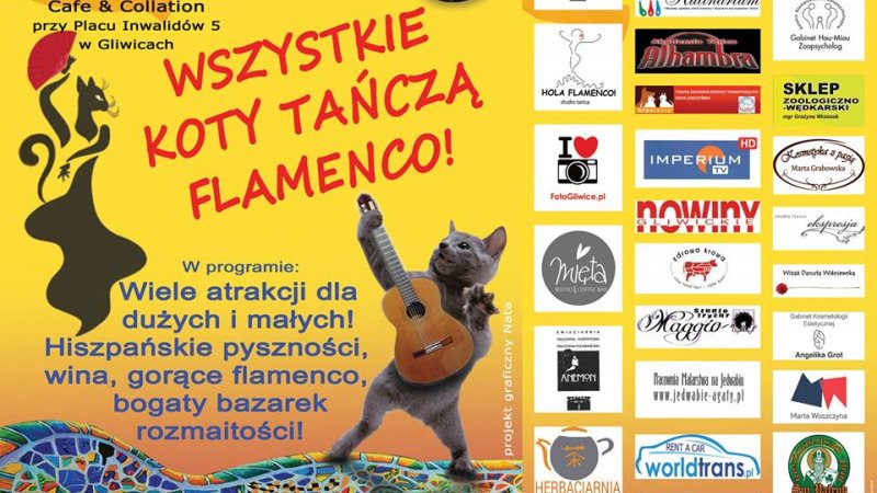 "Wszystkie koty tańczą flamenco" to charytatywna impreza w hiszpańskim klimacie (fot. mat. organizatora)