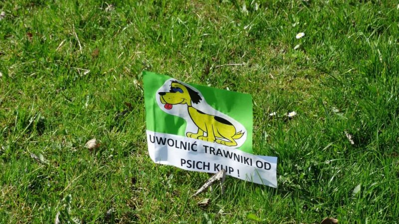 Przedszkolaki domagają się czystych placów zabaw (fot. archiwum zdjęć Facebook/Miasto Tychy)
