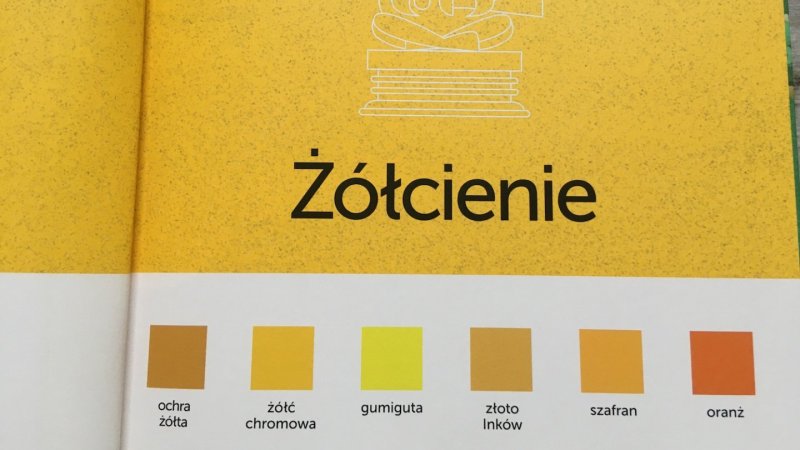 Z książki dowiemy się m.in. jak wiele jest odcieni jednego koloru (fot. Ewelina Zielińska/SilesiaDzieci.pl)