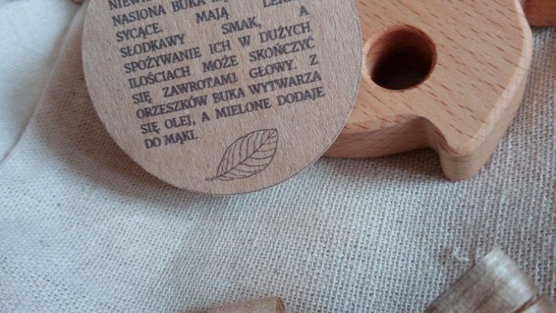 Do każdego egzemplarza dołączone są również ciekawostki o właściwościach użytego drewna. (fot.anna/SilesiaDzieci.pl)
