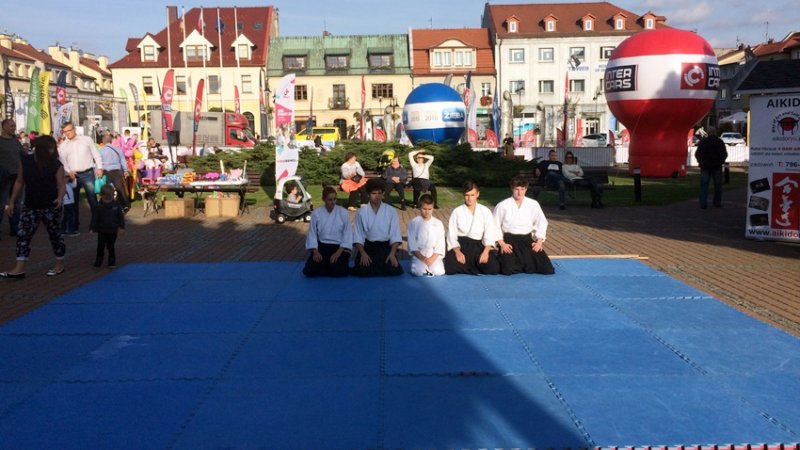 Pokaz aikido w wykonaniu grupy z Centrum Vita-Sport wzbudził wielkie emocje (fot. mat. SilesiaDzieci.pl) 