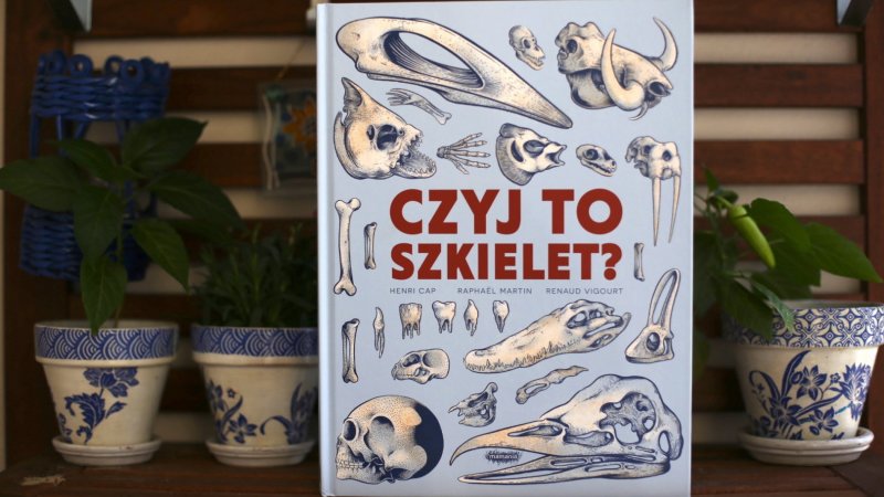 "Czyj to szkielet?" to świetna popularnonaukowa propozycja od wydawnictwa Mamania (fot. Ewelina Zielińska)