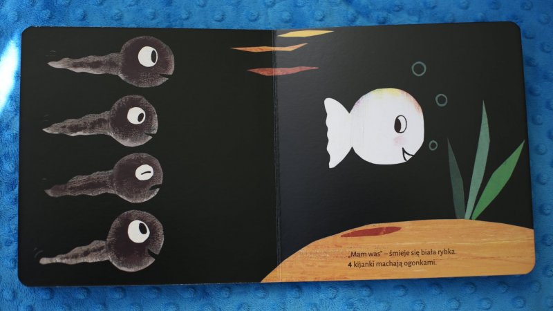 "Mała biała rybka liczy do 11" to czwarta książka o przygodach rybki od wydawnictwa Mamania (fot. Ewelina Zielińska)