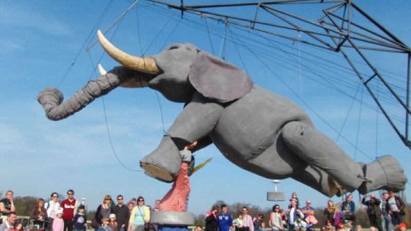 Słoń i ekscentrycy też zawitają na Industriadę (fot. materiały organizatorów)